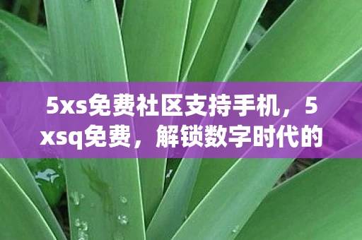 5xs免费社区支持手机，5xsq免费，解锁数字时代的无限可能