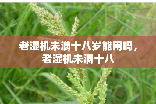 老湿机未满十八岁能用吗，老湿机未满十八