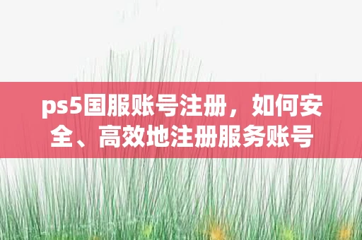 ps5国服账号注册，如何安全、高效地注册服务账号