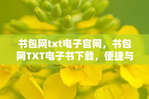 书包网txt电子官网，书包网TXT电子书下载，便捷与风险并存