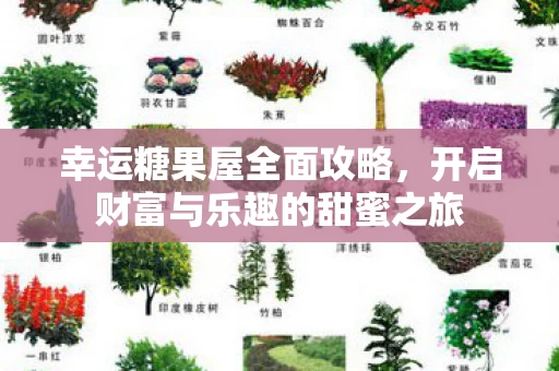 开启财富与乐趣的甜蜜之旅图片