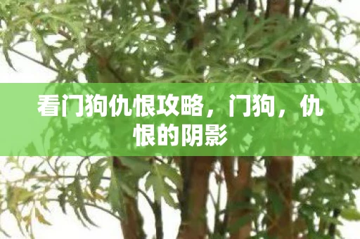 看门狗仇恨攻略，门狗，仇恨的阴影