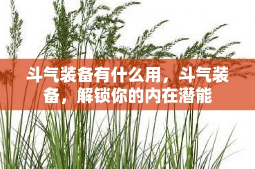 斗气装备有什么用，斗气装备，解锁你的内在潜能