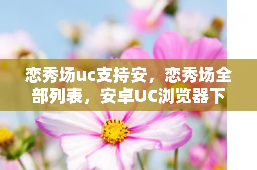恋秀场uc支持安，恋秀场全部列表，安卓UC浏览器下的娱乐盛宴