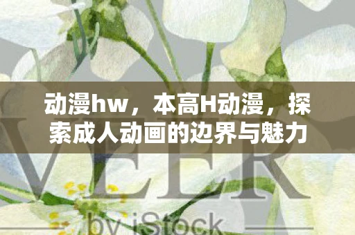 动漫hw，本高H动漫，探索成人动画的边界与魅力