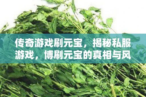 传奇游戏刷元宝，揭秘私服游戏，博刷元宝的真相与风险
