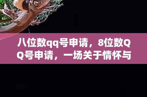 八位数qq号申请，8位数QQ号申请，一场关于情怀与时代的回忆