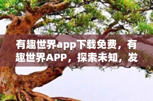 有趣世界app下载免费，有趣世界APP，探索未知，发现新奇
