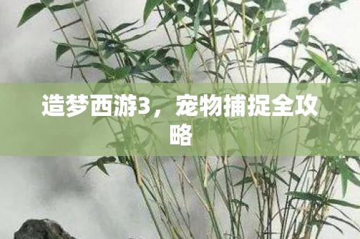 宠物捕捉全攻略图片