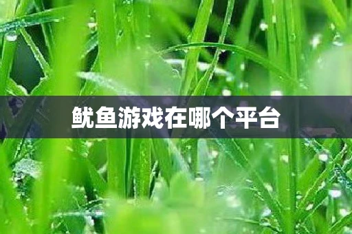 鱿鱼游戏在哪个平台