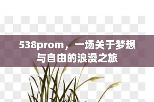 538prom，一场关于梦想与自由的浪漫之旅