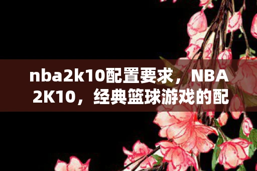 nba2k10配置要求，NBA 2K10，经典篮球游戏的配置需求与体验