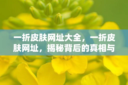 一折皮肤网址大全，一折皮肤网址，揭秘背后的真相与风险