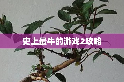 史上最牛的游戏2攻略