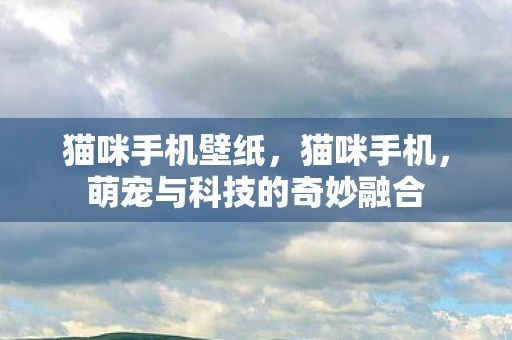 猫咪手机壁纸，猫咪手机，萌宠与科技的奇妙融合