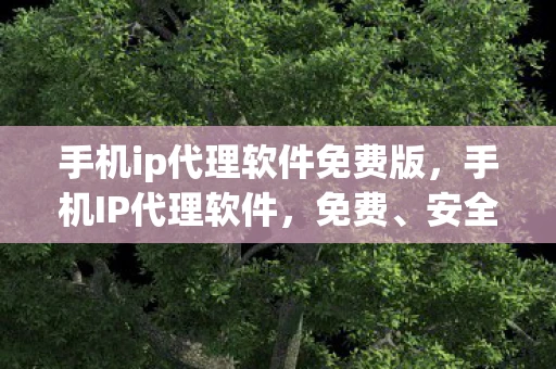 手机ip代理软件免费版，手机IP代理软件，免费、安全、高效的上网利器