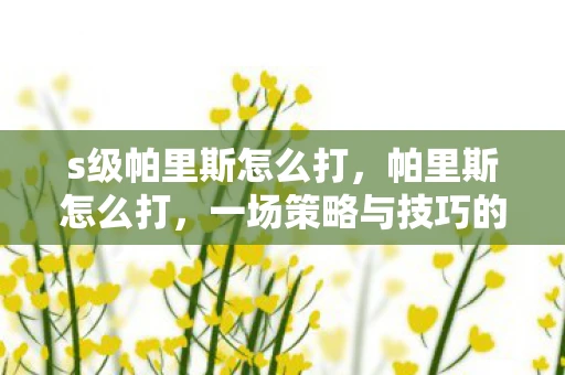 s级帕里斯怎么打，帕里斯怎么打，一场策略与技巧的较量