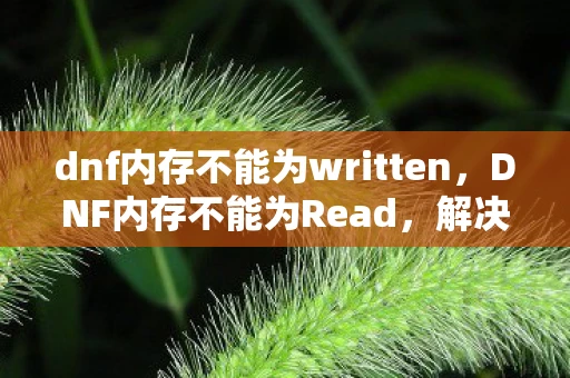 dnf内存不能为written，DNF内存不能为Read，解决与预防的全方位指南