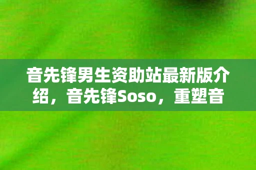 音先锋男生资助站最新版介绍，音先锋Soso，重塑音乐体验的先锋