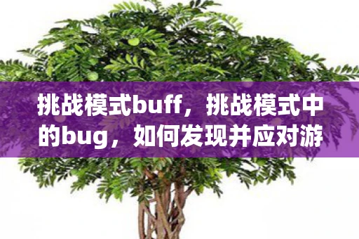 挑战模式buff，挑战模式中的bug，如何发现并应对游戏中的漏洞