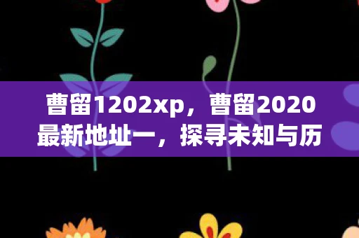 曹留1202xp，曹留2020最新地址一，探寻未知与历史的交汇点