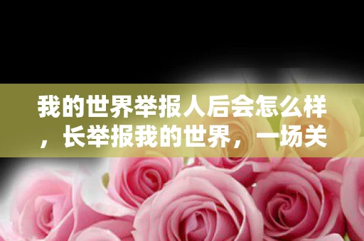 我的世界举报人后会怎么样，长举报我的世界，一场关于游戏与社区的深度探讨