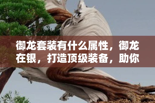 御龙套装有什么属性，御龙在银，打造顶级装备，助你驰骋江湖