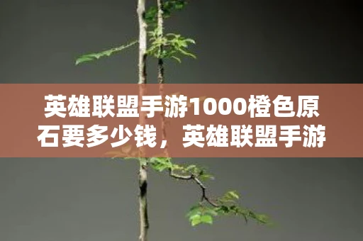 英雄联盟手游1000橙色原石要多少钱，英雄联盟手游，100034错误代码详解与解决方法
