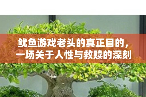 鱿鱼游戏老头的真正目的，一场关于人性与救赎的深刻探讨