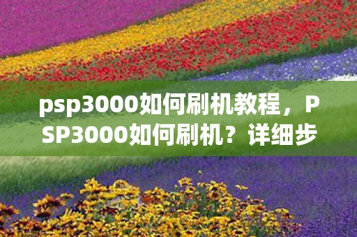 psp3000如何刷机教程，PSP3000如何刷机？详细步骤与注意事项