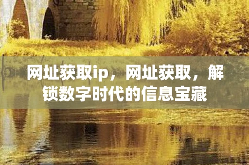 网址获取ip，网址获取，解锁数字时代的信息宝藏
