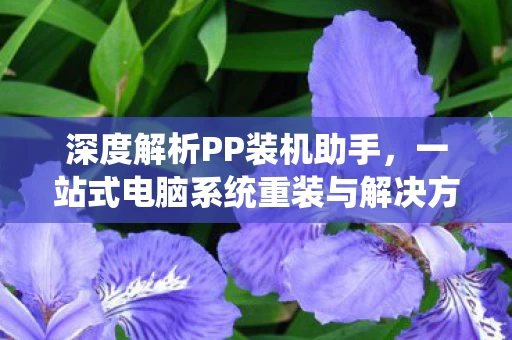 一站式电脑系统重装与解决方案专家图片