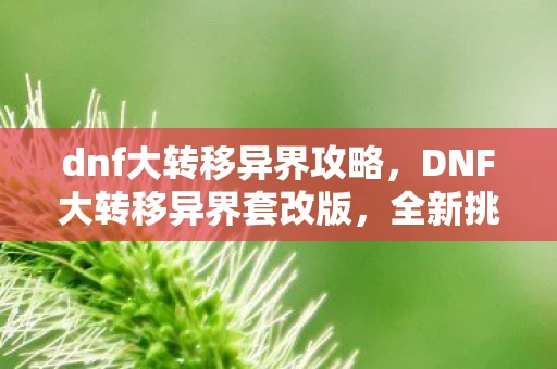 dnf大转移异界攻略，DNF大转移异界套改版，全新挑战与机遇