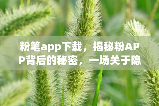粉笔app下载，揭秘粉APP背后的秘密，一场关于隐私与安全的数字盛宴