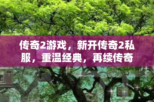 传奇2游戏，新开传奇2私服，重温经典，再续传奇