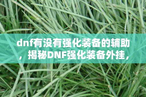 dnf有没有强化装备的辅助，揭秘DNF强化装备外挂，游戏乐趣的阴影