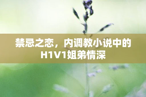 禁忌之恋，内调教小说中的H1V1姐弟情深