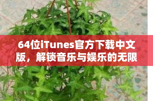 64位iTunes官方下载中文版，解锁音乐与娱乐的无限可能