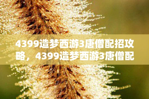 4399造梦西游3唐僧配招攻略，4399造梦西游3唐僧配招攻略