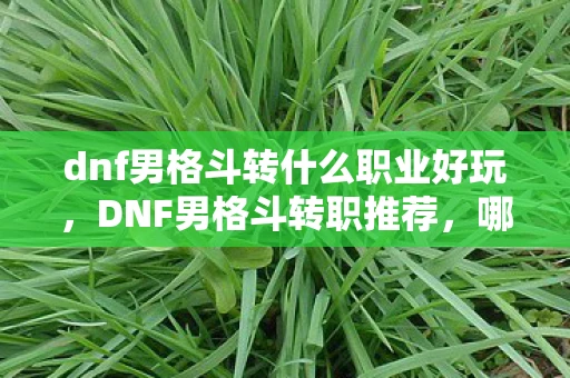 dnf男格斗转什么职业好玩，DNF男格斗转职推荐，哪个职业最适合你？