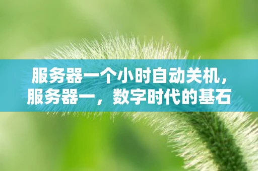 服务器一个小时自动关机，服务器一，数字时代的基石