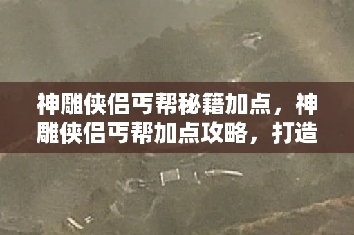 神雕侠侣丐帮秘籍加点，神雕侠侣丐帮加点攻略，打造最强丐帮门派