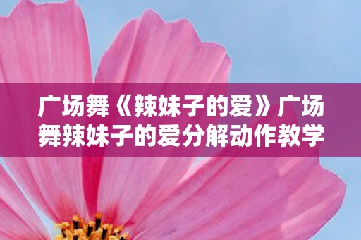 广场舞《辣妹子的爱》广场舞辣妹子的爱分解动作教学