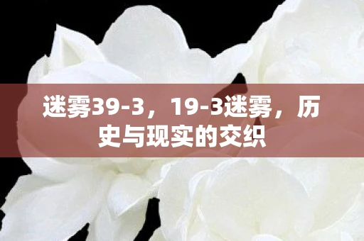 迷雾39-3，19-3迷雾，历史与现实的交织