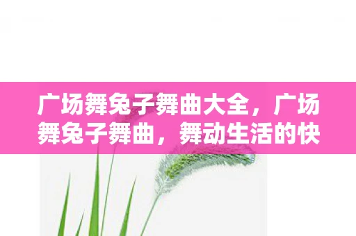 广场舞兔子舞曲大全，广场舞兔子舞曲，舞动生活的快乐旋律