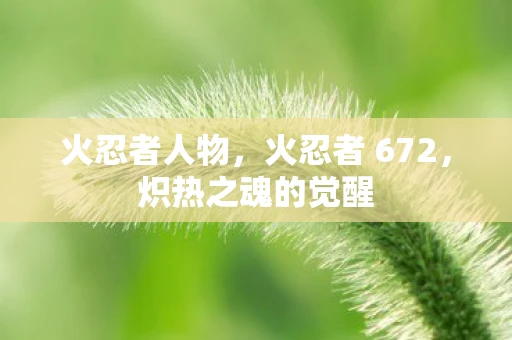 火忍者人物，火忍者 672，炽热之魂的觉醒