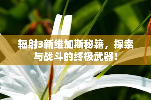 探索与战斗的终极武器图片