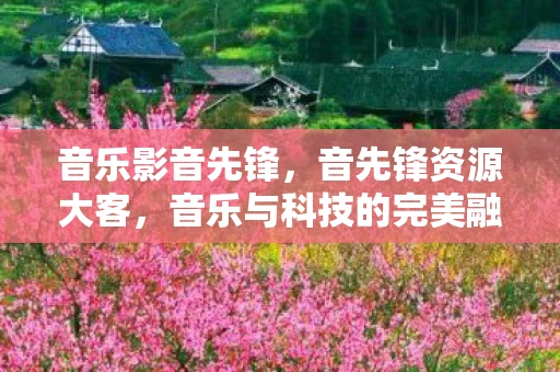 音乐影音先锋，音先锋资源大客，音乐与科技的完美融合
