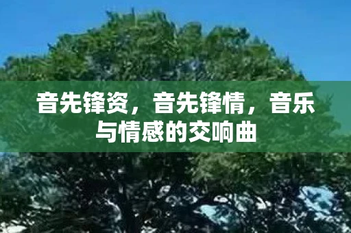 音先锋资，音先锋情，音乐与情感的交响曲