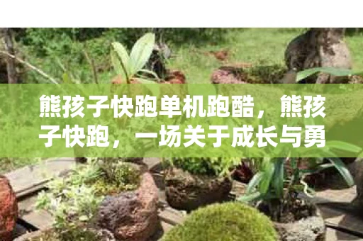 熊孩子快跑单机跑酷，熊孩子快跑，一场关于成长与勇气的冒险